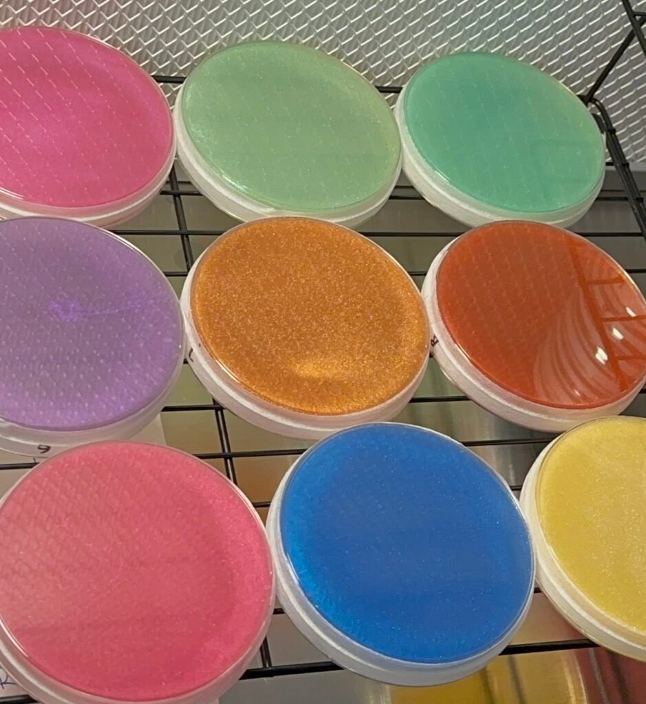 Pre-poured Sorghum Agar Petri Dishes