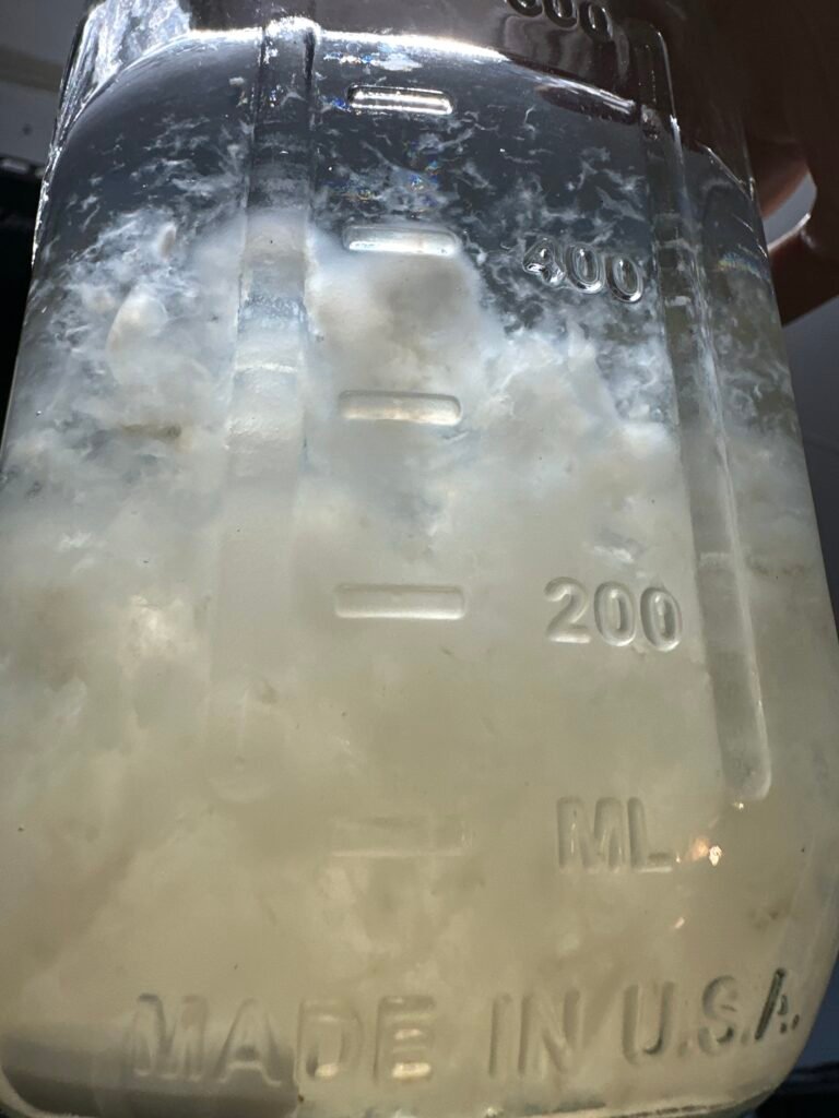 Liquid Cultures by Veiled Mycology