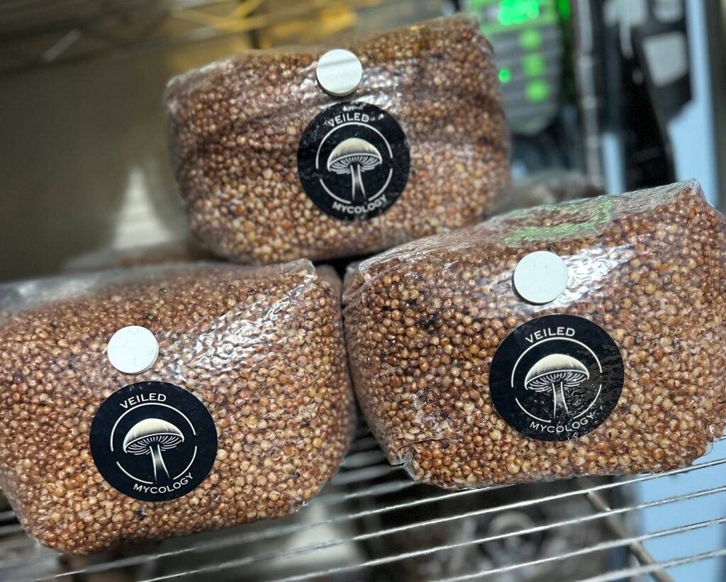 Prepared Grain (3lb)