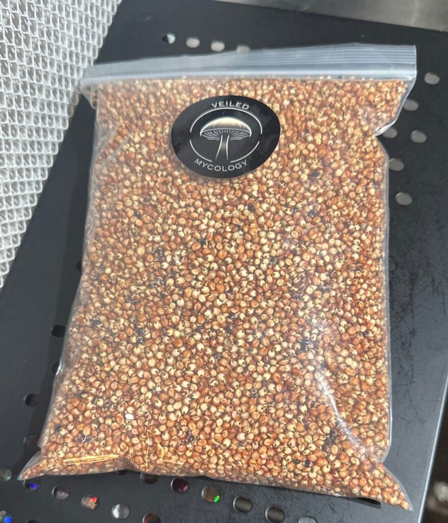 Grain - Red Milo