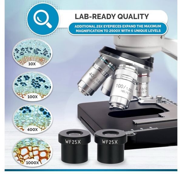 Our Affiliates - AmScope B120C Series Student & Professional LED Binocular Compound Microscope - 40X-2500X Magnification - Features Siedentopf Head & 3D Mechanical Stage - Image 6
