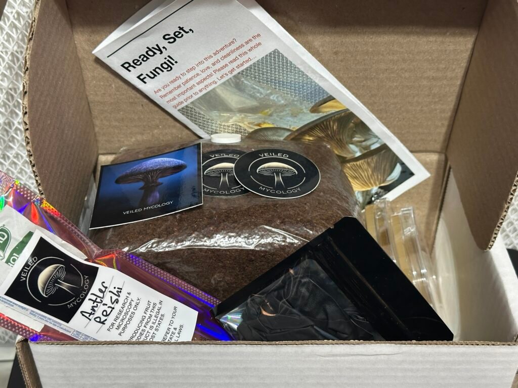 Complete AIO Kit - Wood Lovers